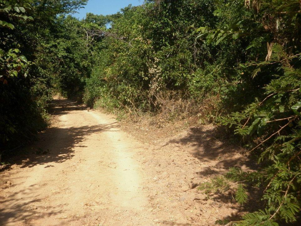 Tanji Bird Reserve Eco-Lodge (Adults Only) Ghana Town 외부 사진