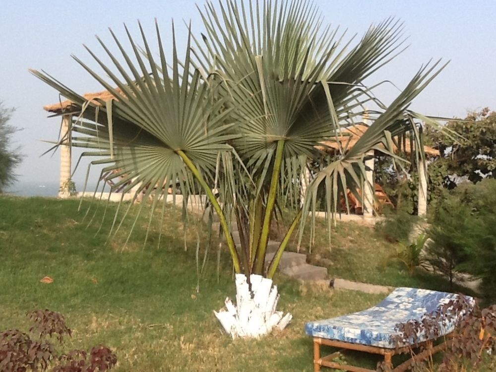 Tanji Bird Reserve Eco-Lodge (Adults Only) Ghana Town 외부 사진